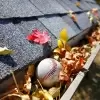 Springtime, Summer, and Fall Gutter Cleaning!